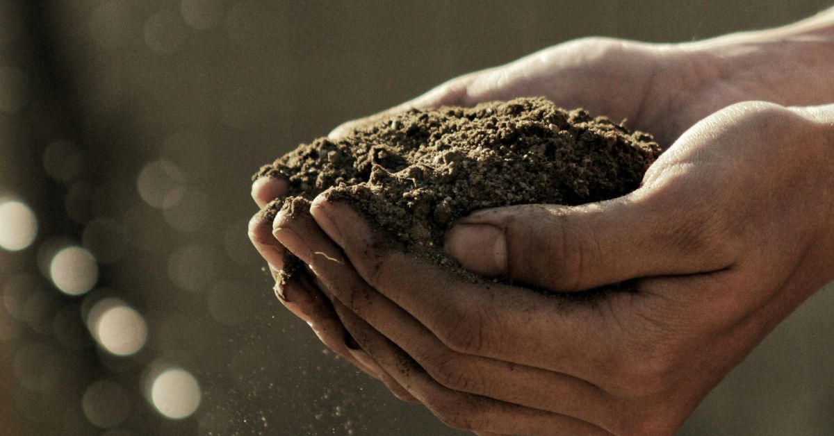 Hands-holding-soil.jpg
