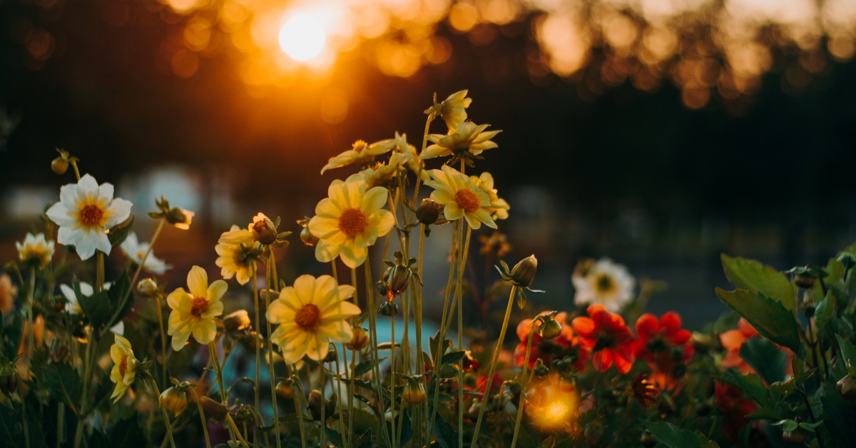 Life – and 7 other L Words